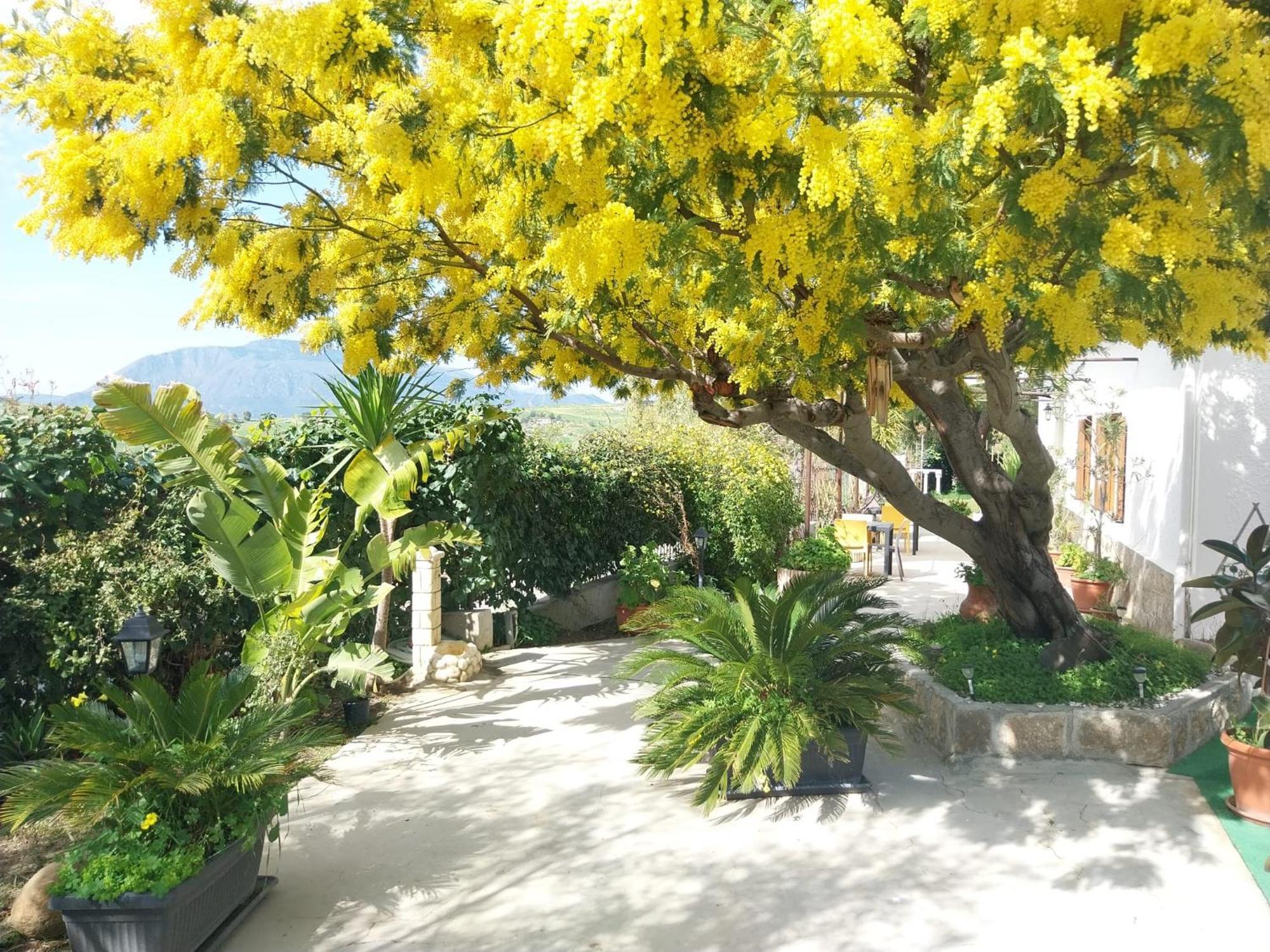 Casa Lachesi Caccamo エクステリア 写真
