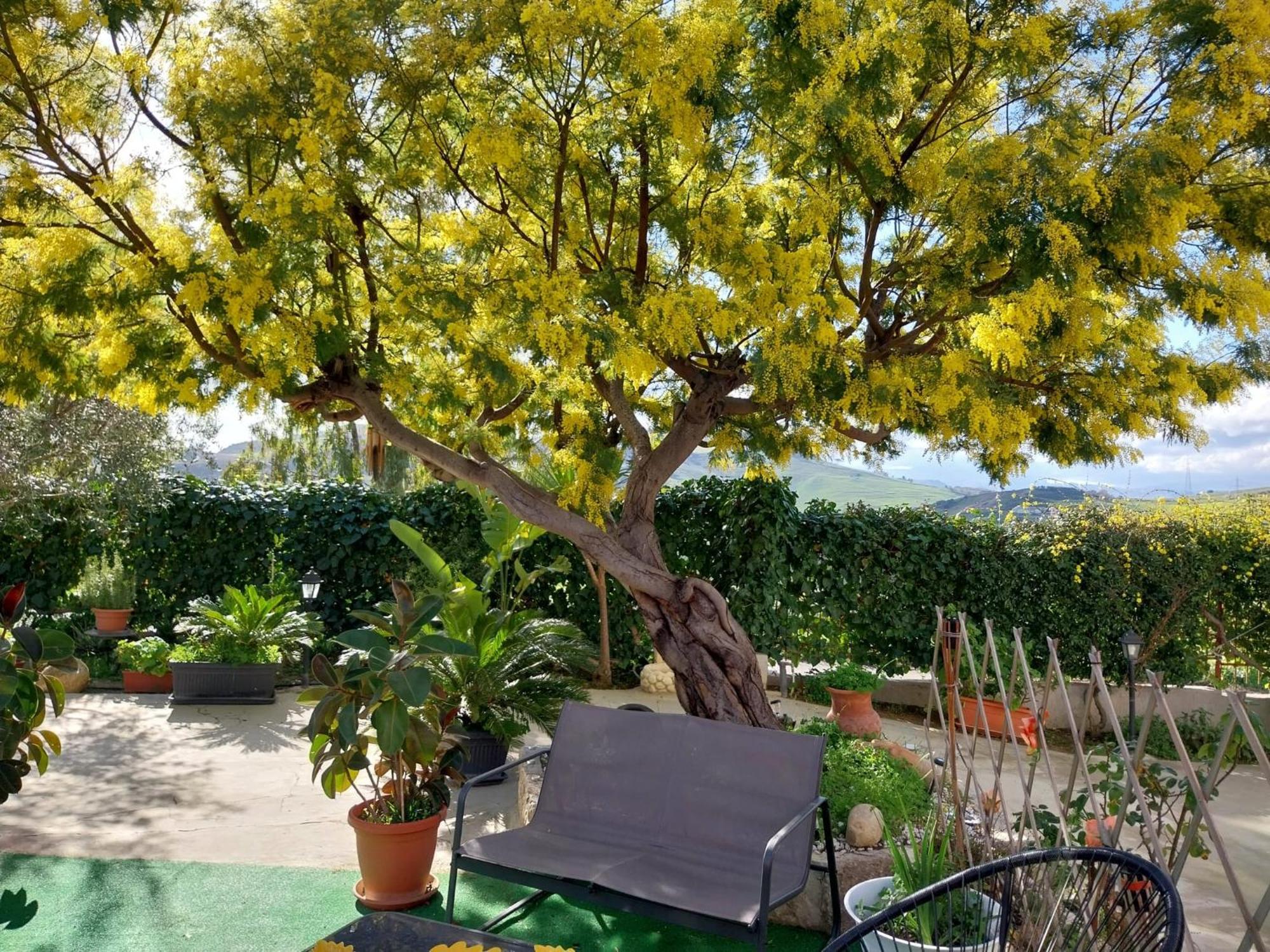 Casa Lachesi Caccamo エクステリア 写真